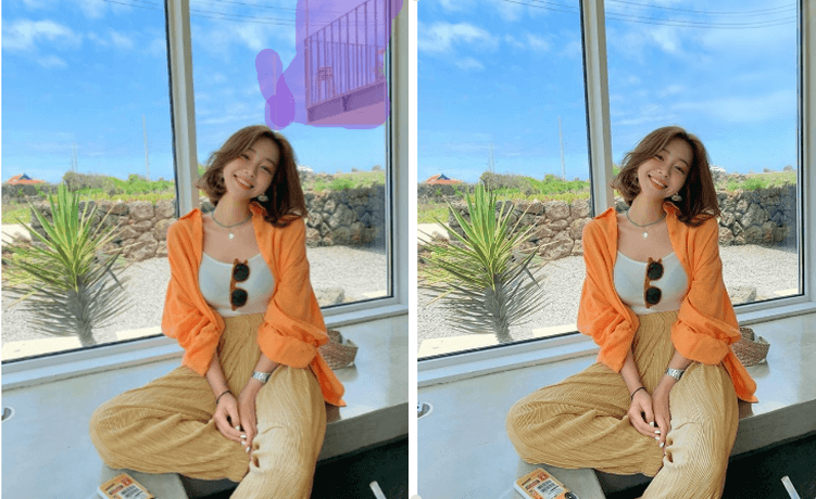 Remove Unwanted Objects from Everyday Scenes