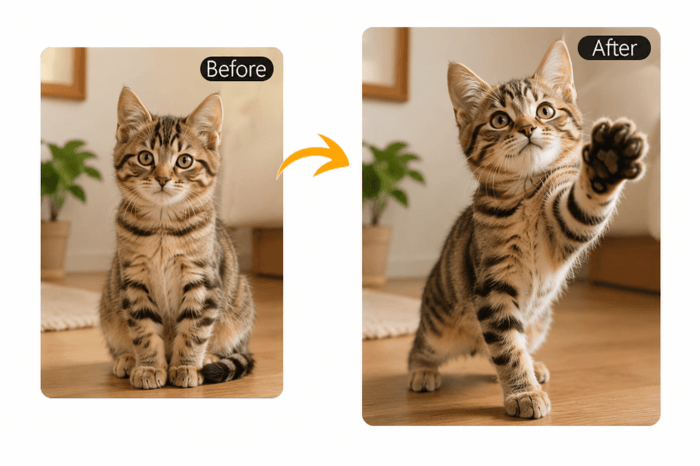 Make Pet Photos More Natural, Cute, and Expressive