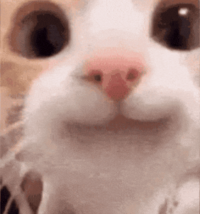 Video to GIF Demo